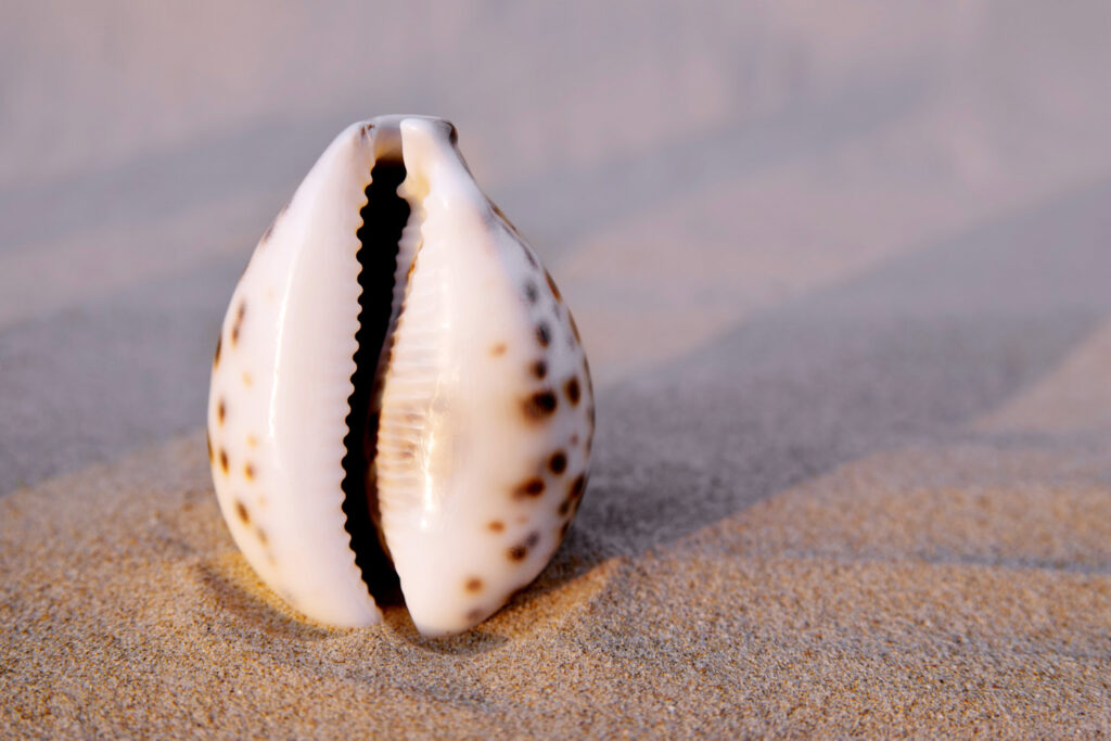 Rekonwalescencja po labioplastyce warszawa