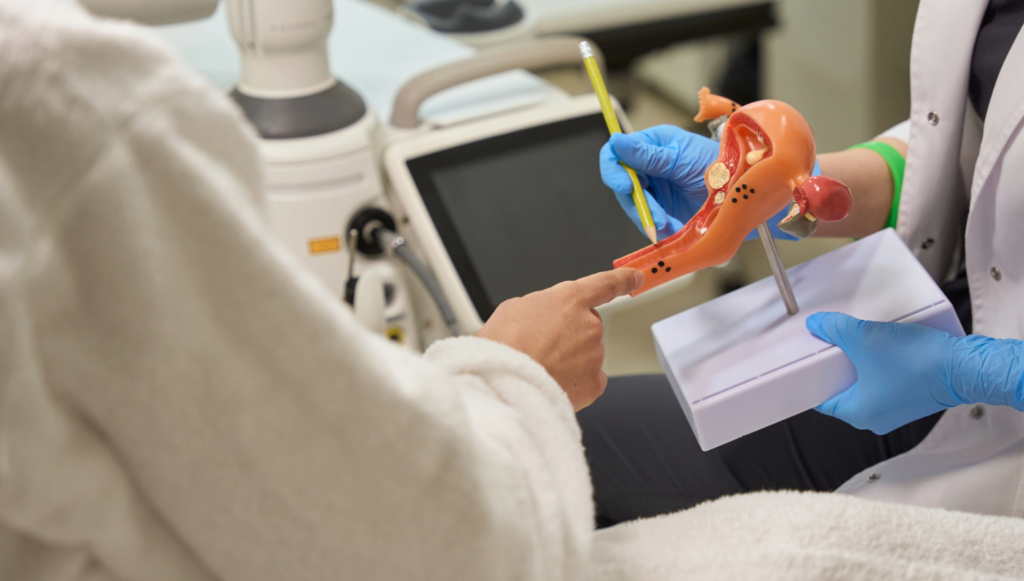 labioplastyka a waginoplastyka roznice warszawa