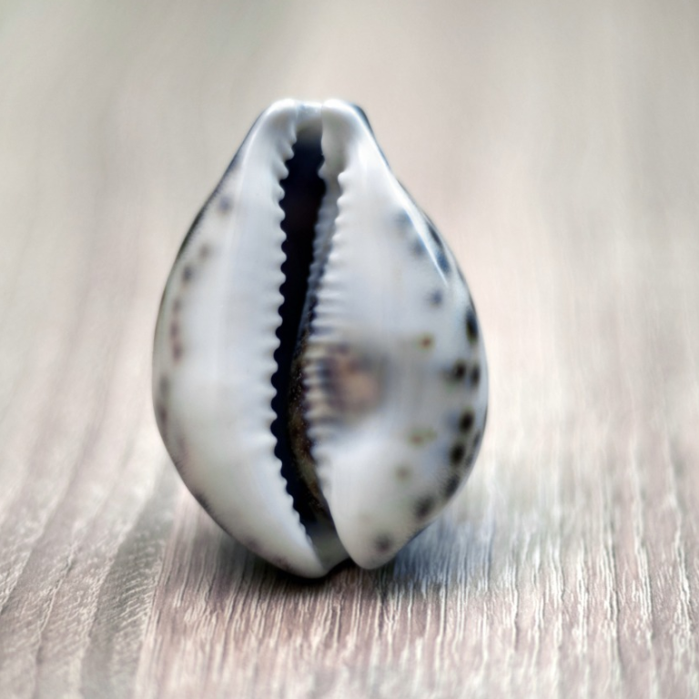 labioplastyka warszawa odpowiedz na obawy przed zabiegiem